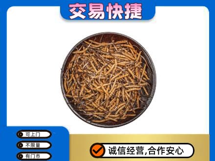 白沙礼品回收虫草.jpg