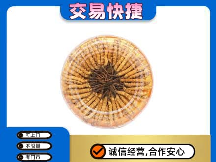 白沙高价回收虫草礼盒